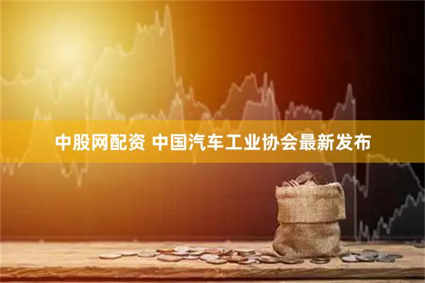中股网配资 中国汽车工业协会最新发布